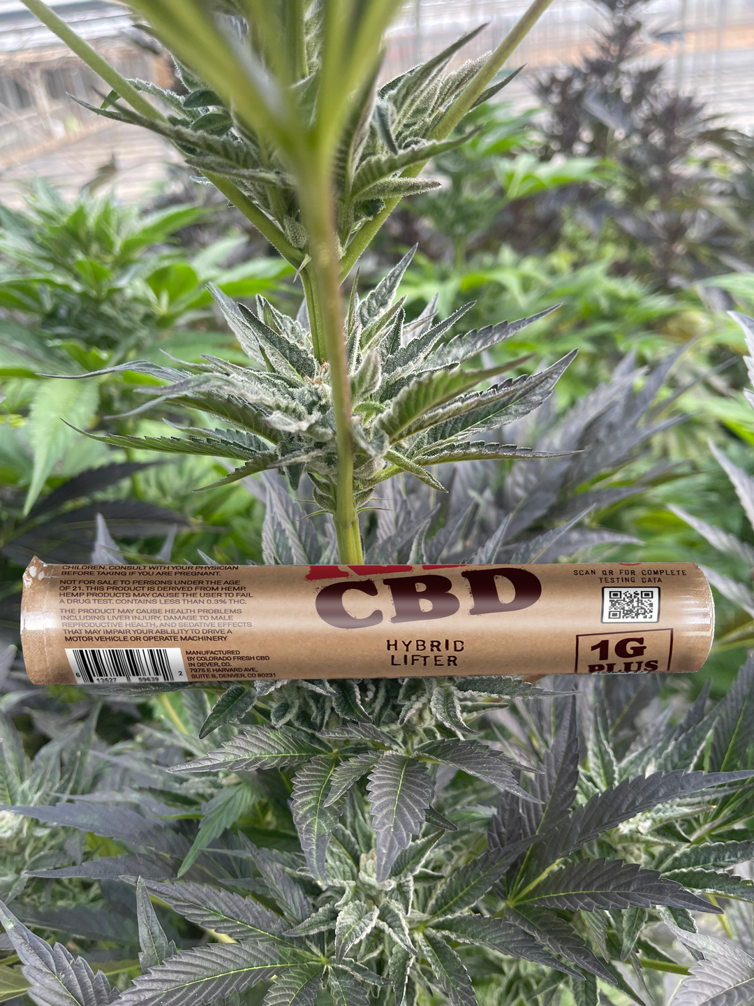 RAW™ CBD – Colorado Fresh CBD